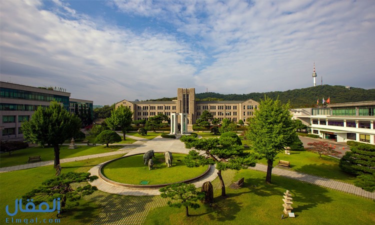 جامعات كوريا تصنف من أفضل 100 جامعة على مستوى العالم، تعرف عليها